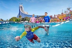 Dubai: Toegangskaart Wild Wadi Waterpark