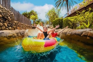 Dubai: Wild Wadi Waterpark Entrance Ticket