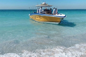 Dubais BESTER Angelcharter – kein Fisch, keine Bezahlung!