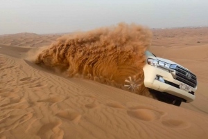 Dune Drive Sand Board Camel Ride Dinner Buffet Dubai