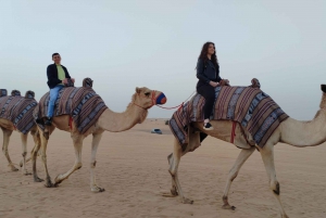 Dune Drive Sand Board Camel Ride Dinner Buffet Dubai