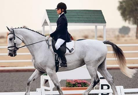 Emirates Equestrian Centre