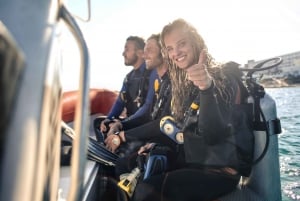 Dubai till Fujairah: Första dykning + transfer och grillfest
