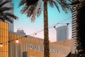 From Abu Dhabi: Dubai Full-Day Sightseeing Tour