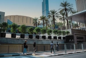 From Abu Dhabi: Dubai Full-Day Sightseeing Tour