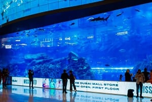 From Abu Dhabi: Dubai Full-Day Sightseeing Tour