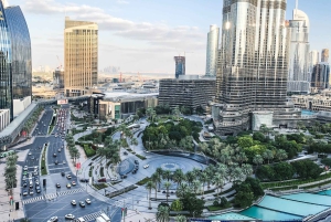 Z Abu Zabi: Całodniowa wycieczka do Dubaju z opcjonalnym lunchem