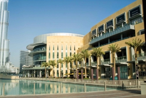 Z Abu Zabi: Całodniowa wycieczka do Dubaju z opcjonalnym lunchem