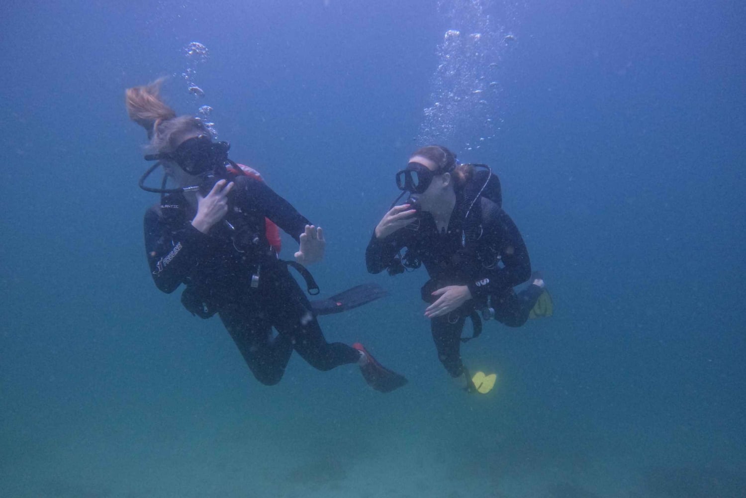 Vanuit Dubai: 2 duiken voor gebrevetteerde duikers met BBQ & Transfer