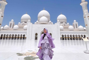 Från Dubai: Stadsvandring i Abu Dhabi med teamLab-upplevelse