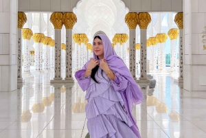 Från Dubai: Stadsvandring i Abu Dhabi med teamLab-upplevelse