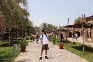 Från Dubai: Stadsvandring i Abu Dhabi med teamLab-upplevelse