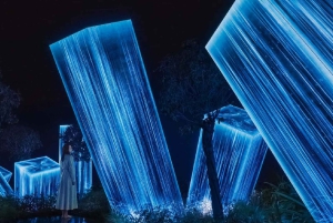 Från Dubai: Stadsvandring i Abu Dhabi med teamLab-upplevelse