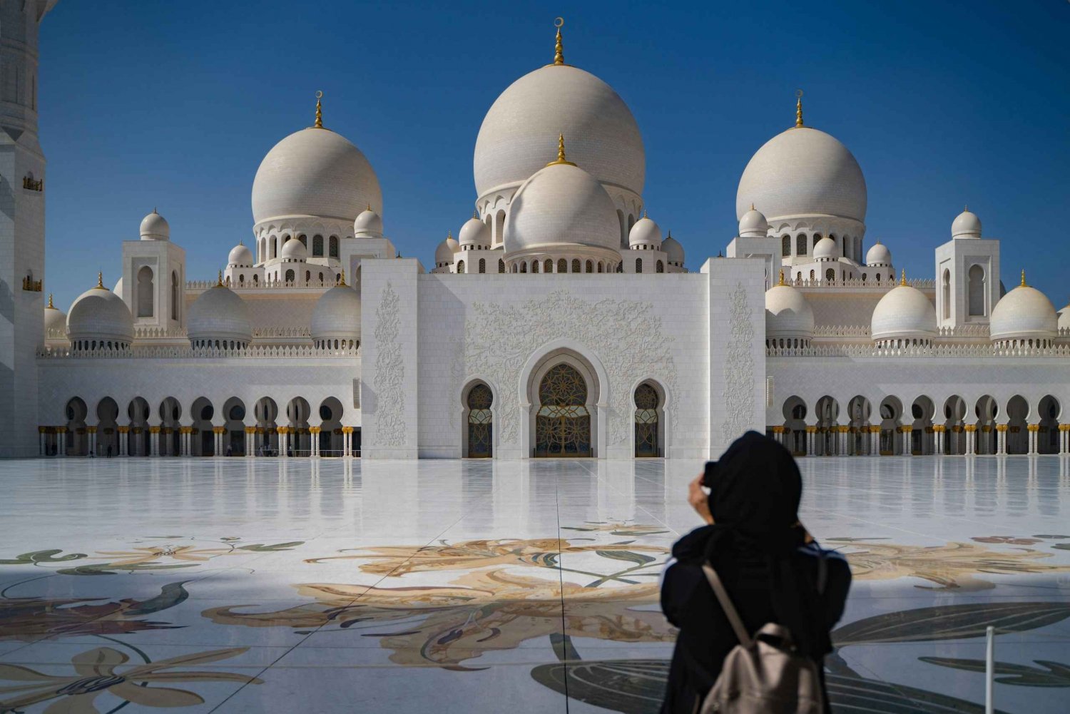Fra Dubai: Dagstur til Abu Dhabi med moské og Emirates Palace