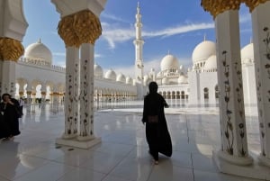Desde Dubai: Excursión de un día a Abu Dhabi con entrada a Warner Bros World