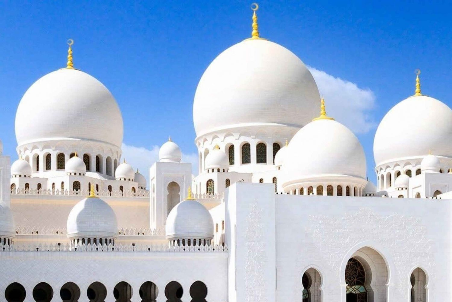 Från Dubai: Abu Dhabi heldagstur med stadssightseeing och moské