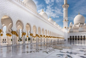 Da Dubai: Tour panoramico di Abu Dhabi di una giornata intera