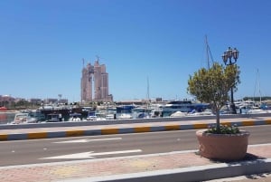Från Dubai: Abu Dhabi dagsrundtur i liten grupp med lunch