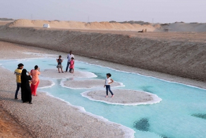 Fra Dubai: Abu Dhabi-tur med besøg i saltsøen Al Wathba
