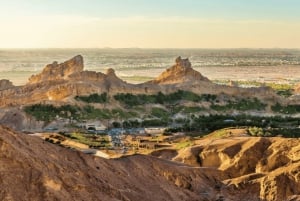 From Dubai: Al Ain City Full-Day Sightseeing Tour with Lunch