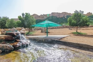 From Dubai: Al Ain City Full-Day Sightseeing Tour with Lunch