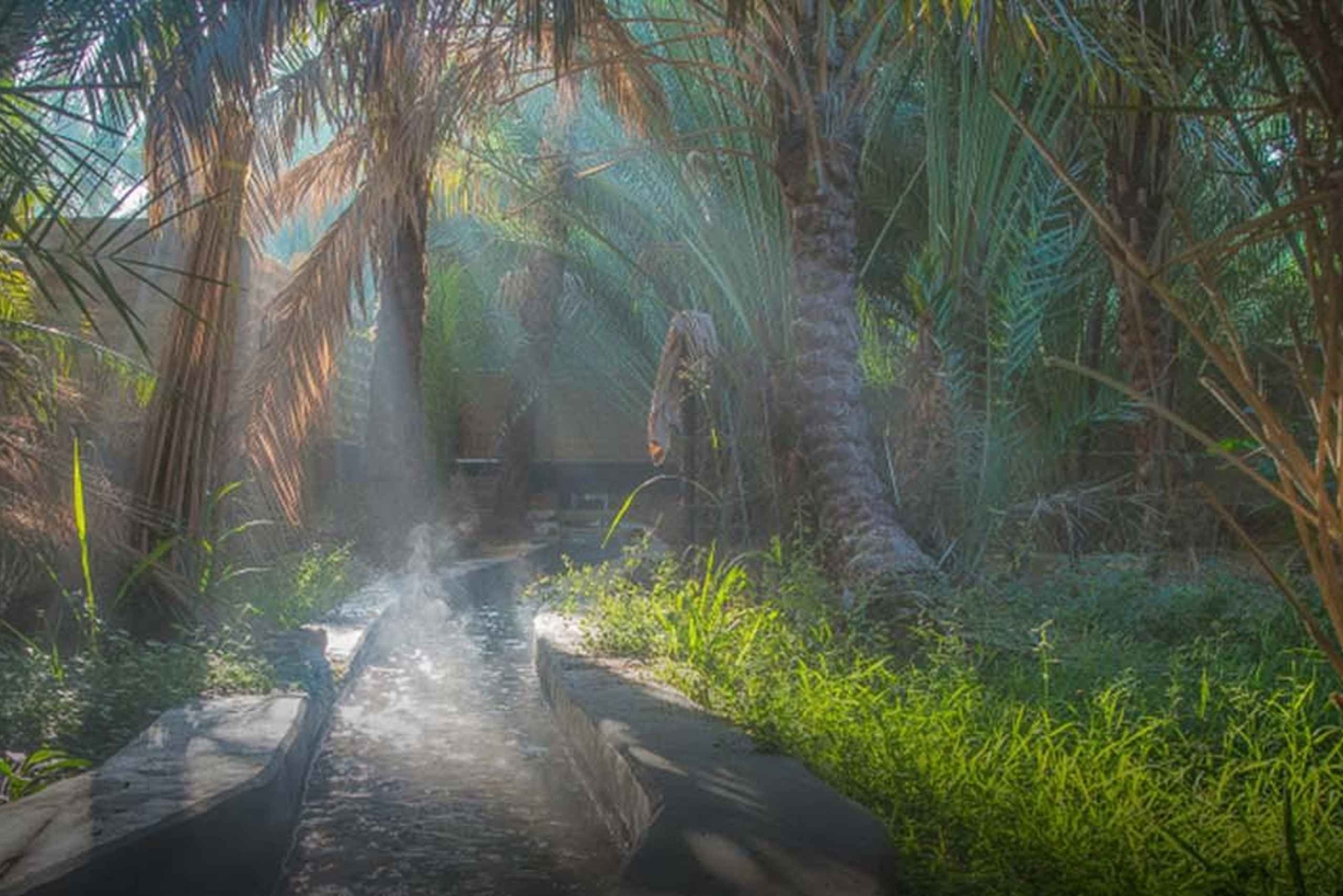 Fra Dubai: Byrundvisning i Al Ain