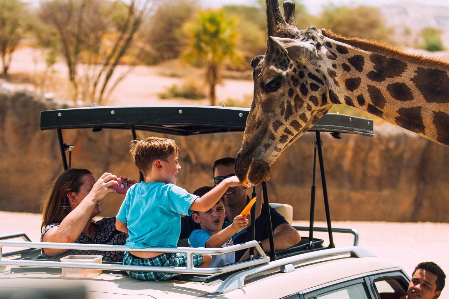 Fra Dubai: Byrundvisning i Al Ain