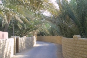 Van Dubai: Al Ain stadstour