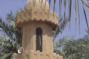 Ab Dubai: Stadtrundfahrt Al Ain