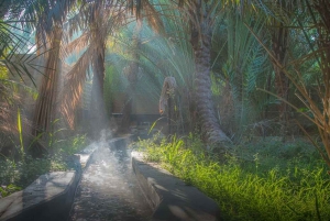 Fra Dubai: Byrundvisning i Al Ain