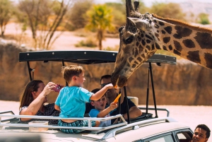 Fra Dubai: Byrundvisning i Al Ain