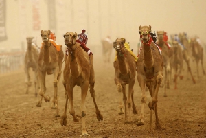 From Dubai: Al Ain Full Day Tour with Lunch