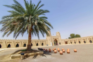 Von Dubai aus: Al Ain Garden City Ganztägige Sightseeing Tour