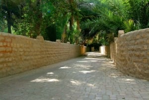 From Dubai: Al Ain Garden City Full-Day Sightseeing Tour