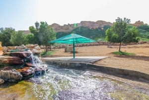 From Dubai: Al Ain Garden City Full-Day Sightseeing Tour