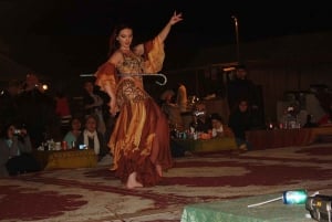 Vanuit Dubai: Arabische safari-ervaring