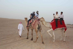 Depuis Dubaï : découvrez le safari arabe