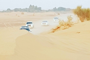 From Dubai: Desert Safari, BBQ, Quad Biking, Shisha & Drinks