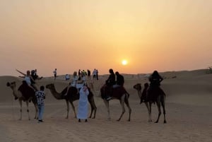 Depuis Dubai : safari dans le désert, barbecue, quad, shisha