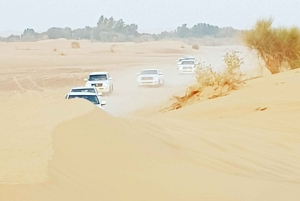 Vanuit Dubai: Woestijnsafari, BBQ, Quad rijden, Shisha & drankjes