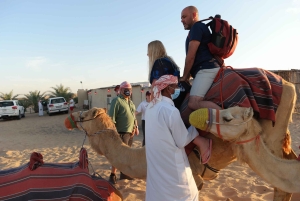 Vanuit Dubai: Woestijnsafari, BBQ, Quad rijden, Shisha & drankjes