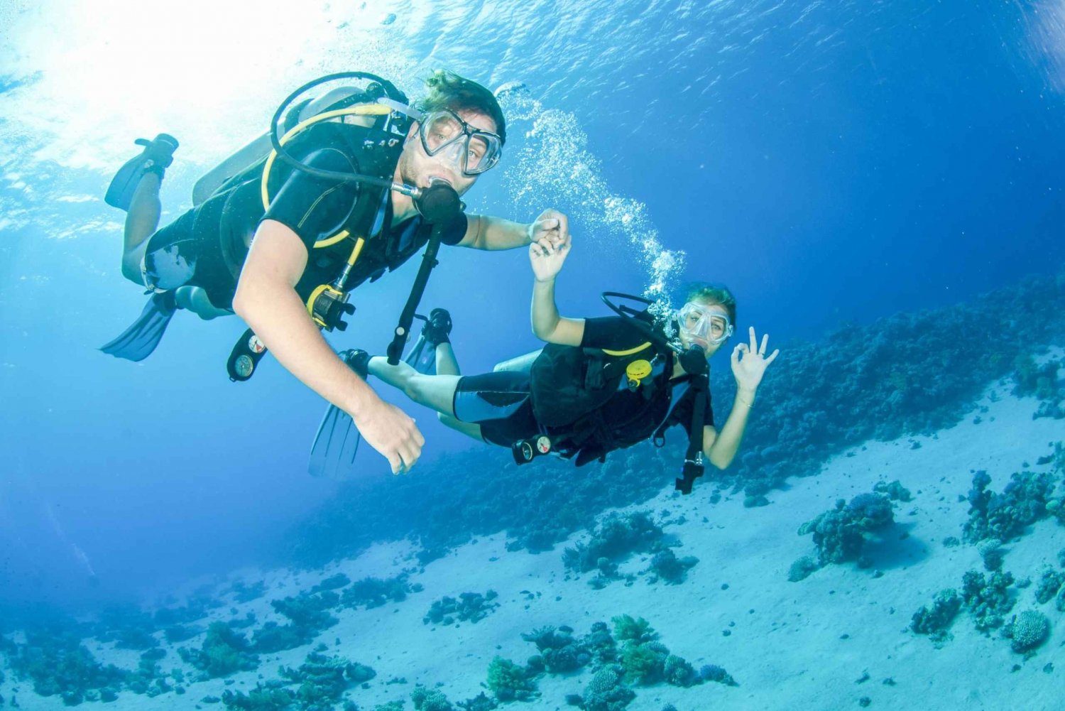 Dubaissa: Fujairahissa: Discovery Scuba Diving aloittelijoille