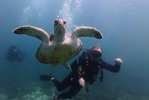 From Dubai: Discovery Scuba Diving & Snorkeling In Fujairah