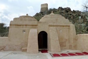 From Dubai: East Coast Fujairah City Tours