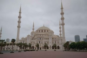 Från Dubai: Östkusten Fujairah stadsrundturer