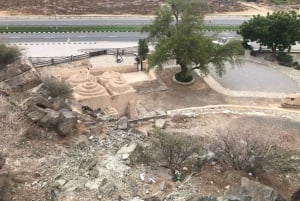 Från Dubai: Östkusten Fujairah stadsrundturer