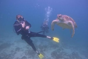 Vanuit Dubai: Duik en Verblijf 5-Duiken Reis met BBQ, Transfers