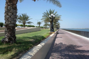 From Dubai: Fujairah East Coast Tour