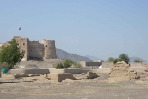 From Dubai: Fujairah East Coast Tour