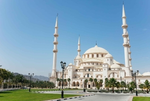 Depuis Dubaï : Visite de la côte est de Fujairah